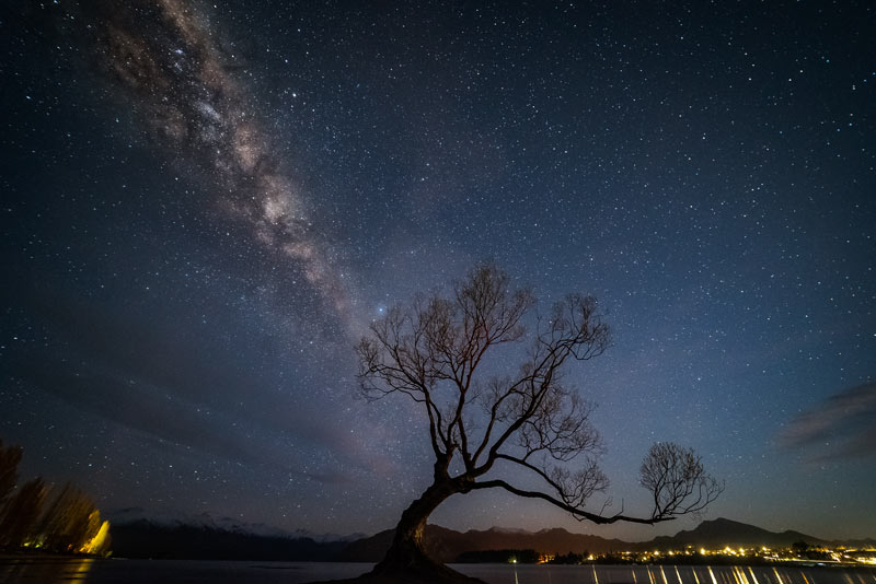 That Wanaka Tree Milky Way Astrophotography shot with wide-angle lens
